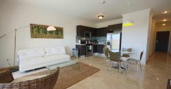 Palm Aruba Condos – 306