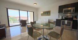 Palm Aruba Condos – 306